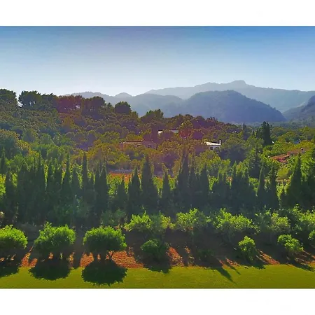 - 35012 Mallorca Holiday home *